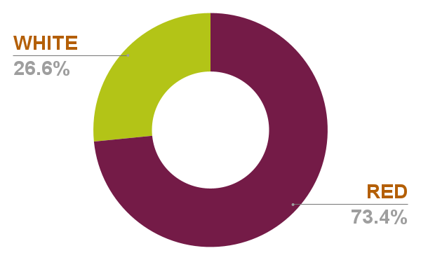 Chart 16